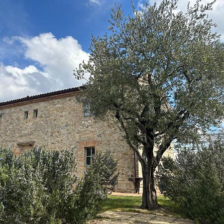 Borgo Cardaneto Bed & Breakfast Montone  Bagian luar foto