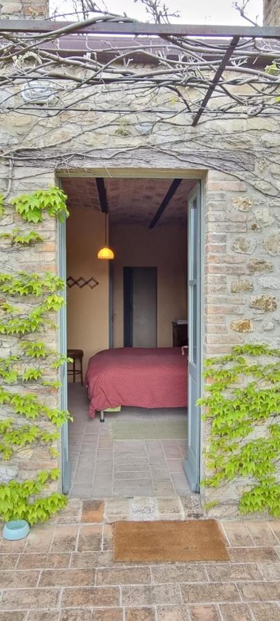 Borgo Cardaneto Bed & Breakfast Montone  Bagian luar foto