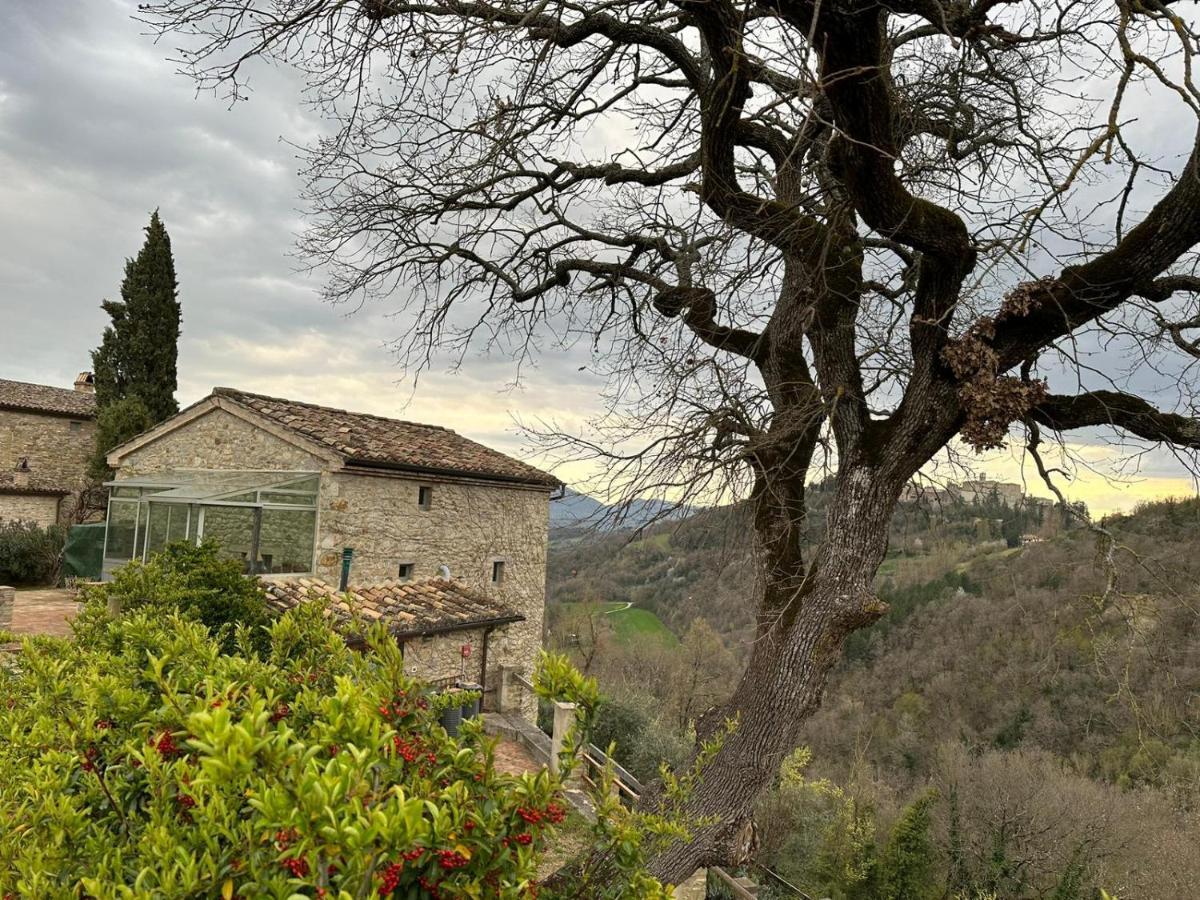 Borgo Cardaneto Bed & Breakfast Montone  Bagian luar foto