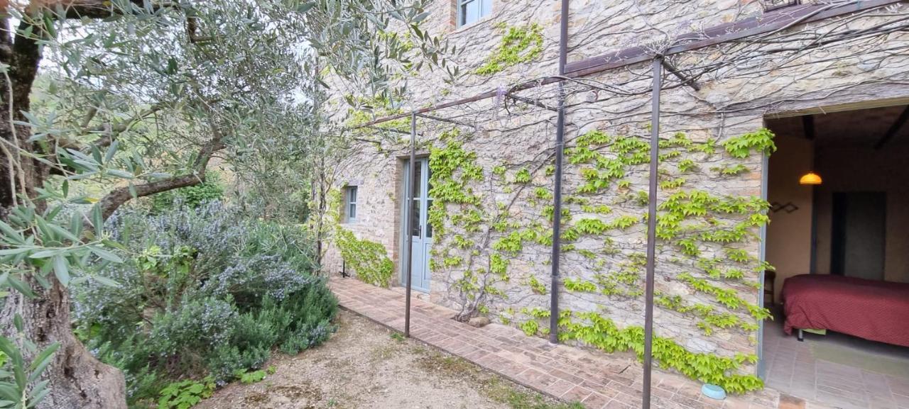 Borgo Cardaneto Bed & Breakfast Montone  Bagian luar foto