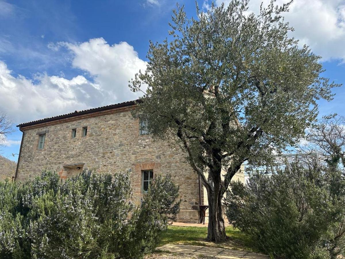 Borgo Cardaneto Bed & Breakfast Montone  Bagian luar foto
