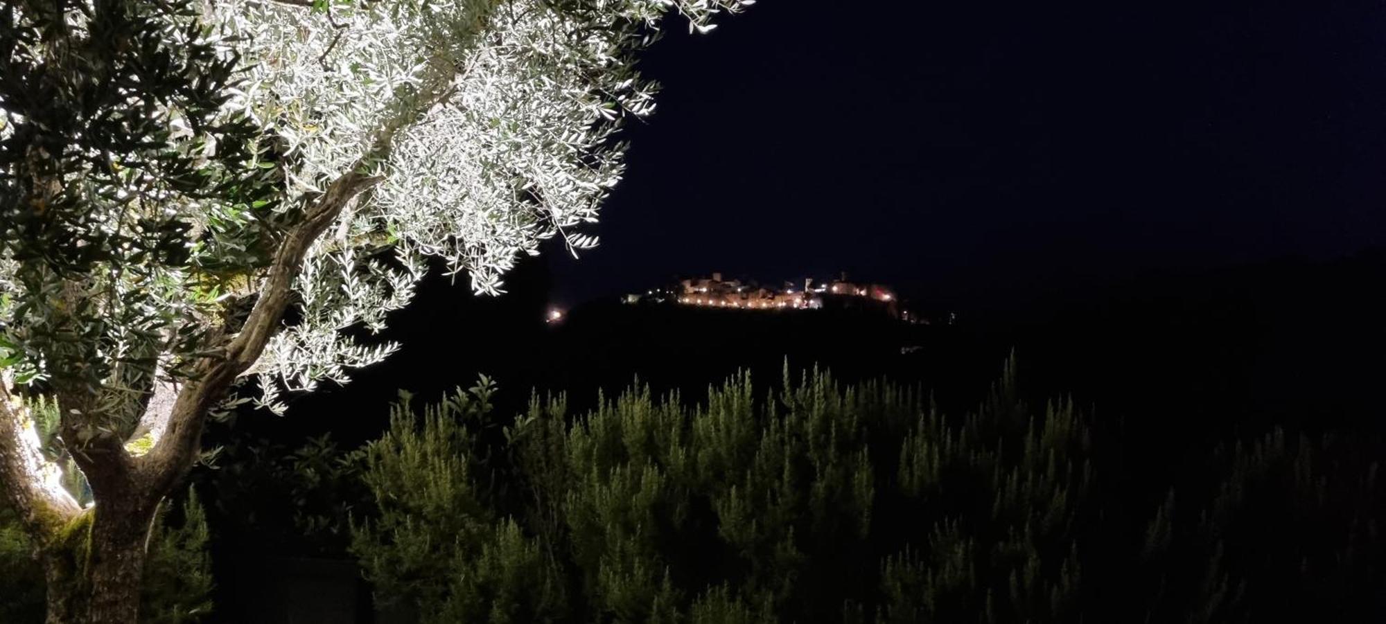 Borgo Cardaneto Bed & Breakfast Montone  Bagian luar foto