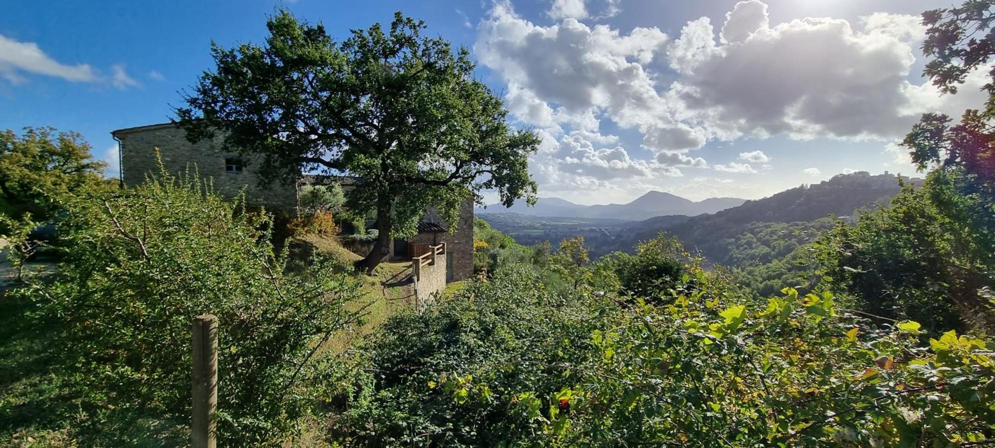 Borgo Cardaneto Bed & Breakfast Montone  Bagian luar foto