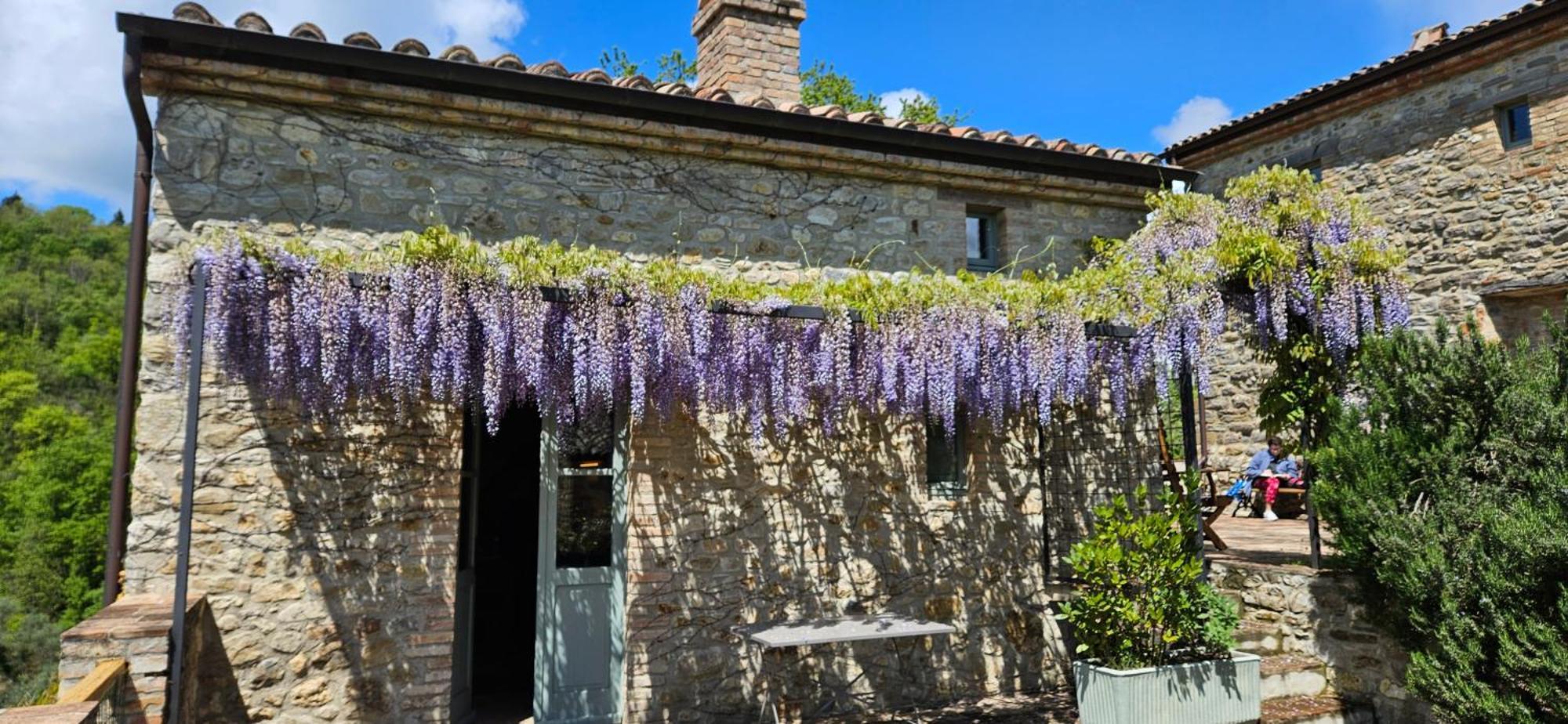 Borgo Cardaneto Bed & Breakfast Montone  Bagian luar foto