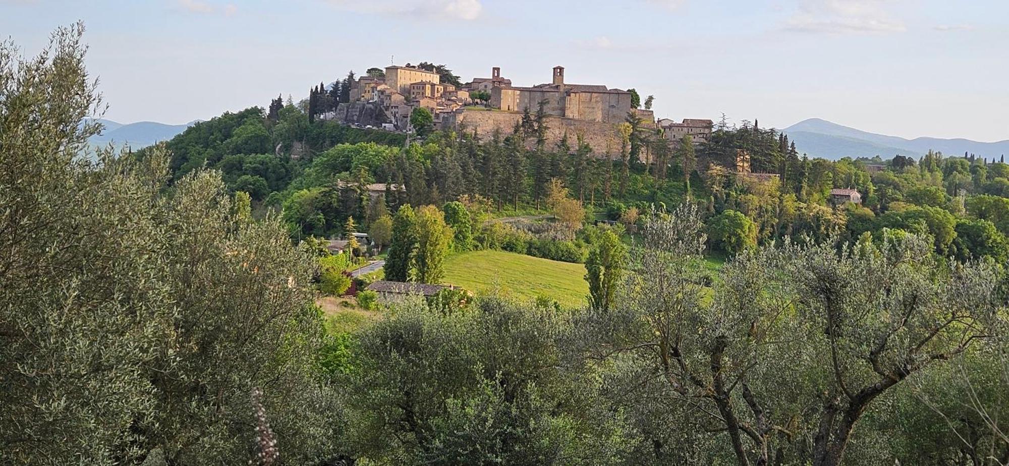 Borgo Cardaneto Bed & Breakfast Montone  Bagian luar foto